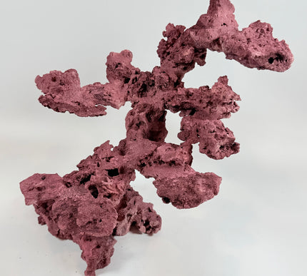 WYSIWYG Coraline Reef Rock #25