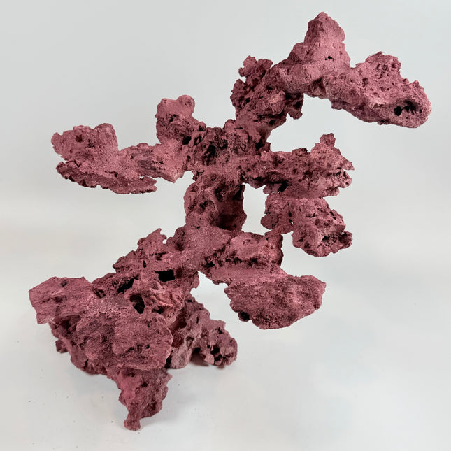 WYSIWYG Coraline Reef Rock #25