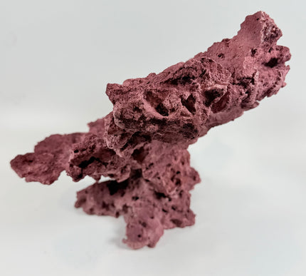 WYSIWYG Coraline Reef Rock #25