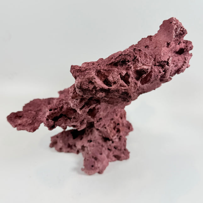 WYSIWYG Coraline Reef Rock #25
