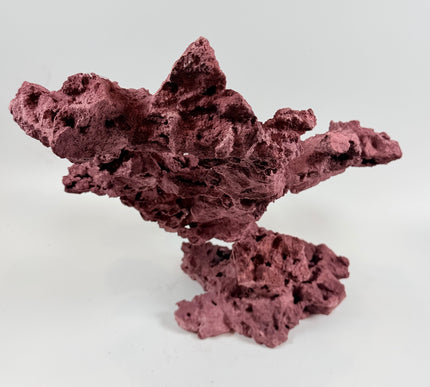 WYSIWYG Coraline Reef Rock #25