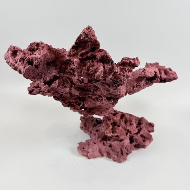 WYSIWYG Coraline Reef Rock #25