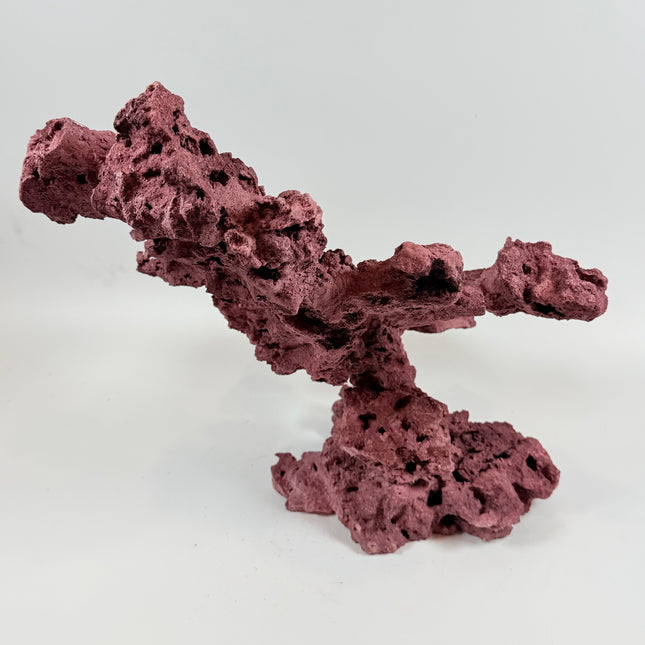 WYSIWYG Coraline Reef Rock #25