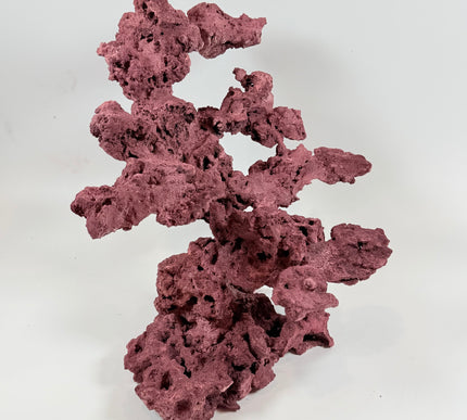 WYSIWYG Coraline Reef Rock #25
