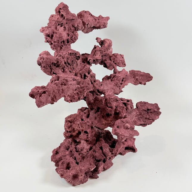 WYSIWYG Coraline Reef Rock #25