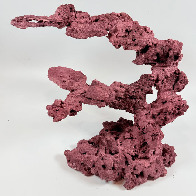 WYSIWYG Coraline Reef Rock #26