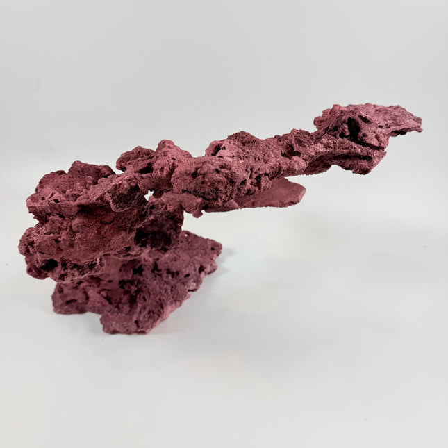 WYSIWYG Coraline Reef Rock #26
