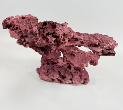 WYSIWYG Coraline Reef Rock #26
