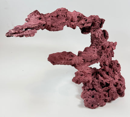 WYSIWYG Coraline Reef Rock #26