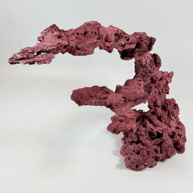 WYSIWYG Coraline Reef Rock #26
