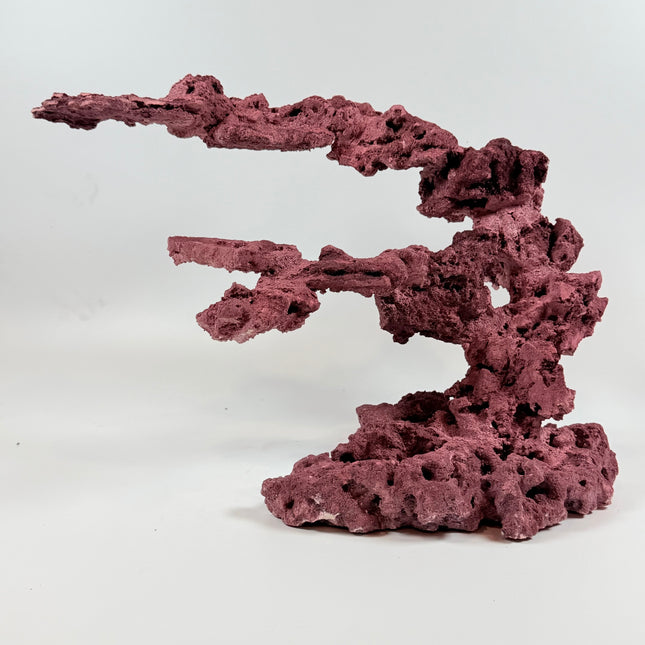 WYSIWYG Coraline Reef Rock #26