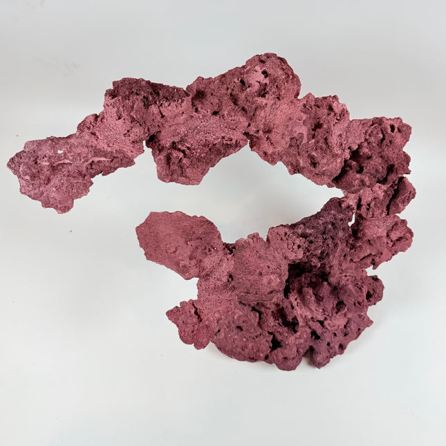 WYSIWYG Coraline Reef Rock #26