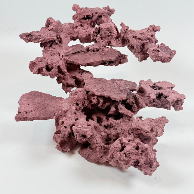 WYSIWYG Coraline Reef Rock #27