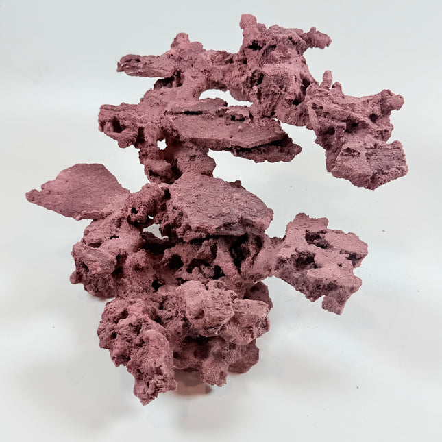 WYSIWYG Coraline Reef Rock #27