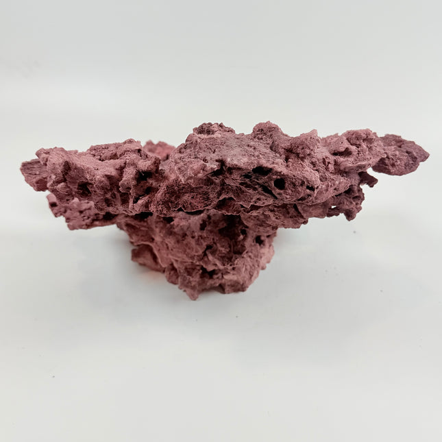 WYSIWYG Coraline Reef Rock #27