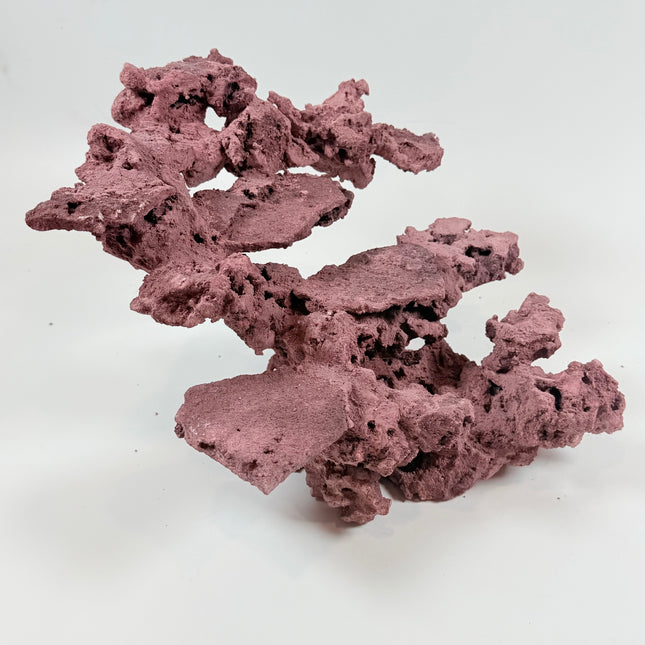 WYSIWYG Coraline Reef Rock #27