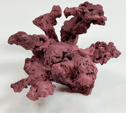 WYSIWYG Coraline Reef Rock #28