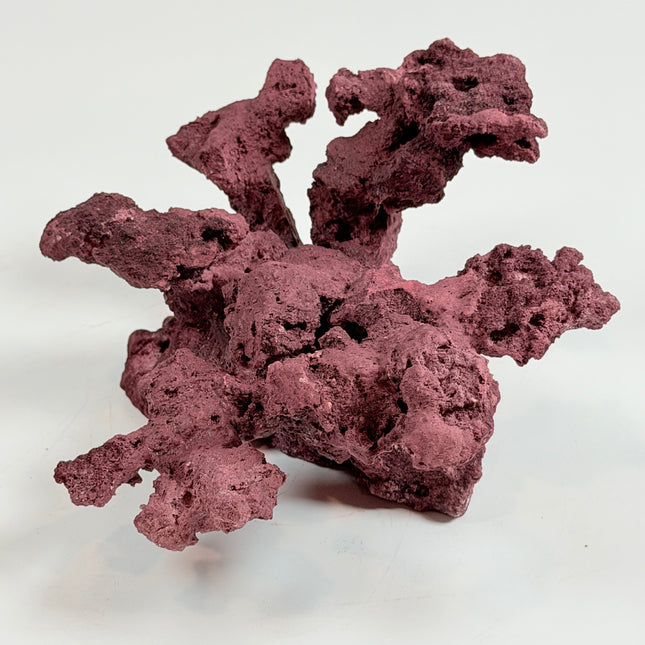 WYSIWYG Coraline Reef Rock #28