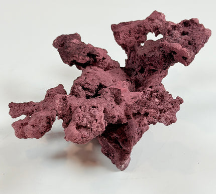 WYSIWYG Coraline Reef Rock #28