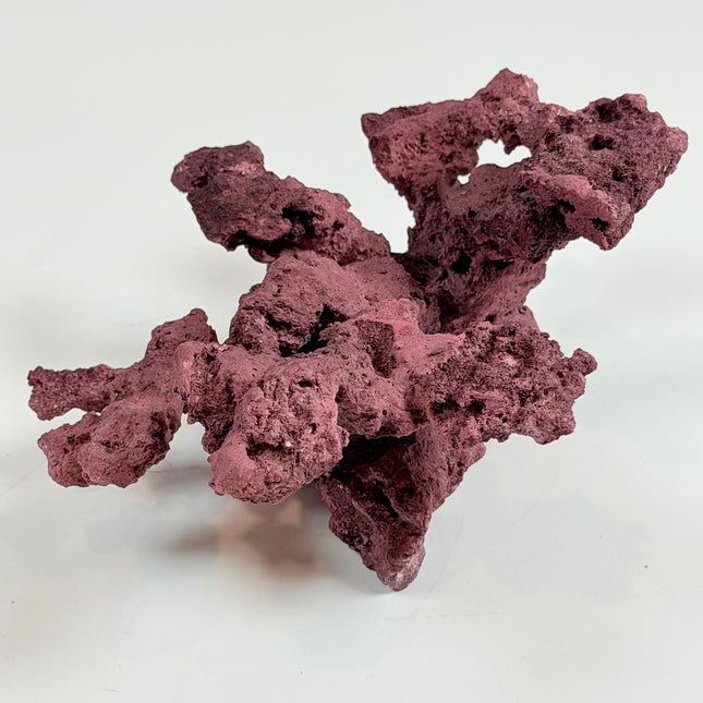 WYSIWYG Coraline Reef Rock #28
