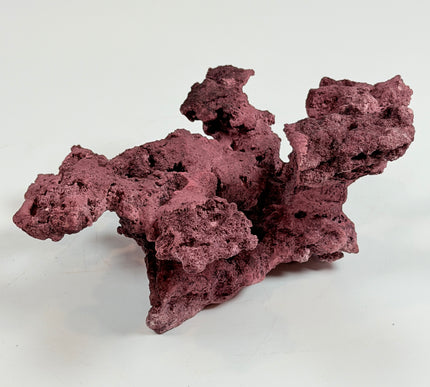 WYSIWYG Coraline Reef Rock #28
