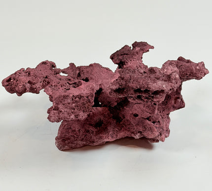 WYSIWYG Coraline Reef Rock #28