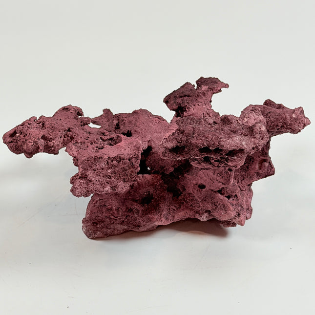 WYSIWYG Coraline Reef Rock #28