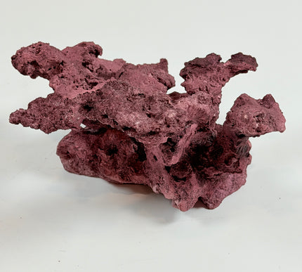 WYSIWYG Coraline Reef Rock #28