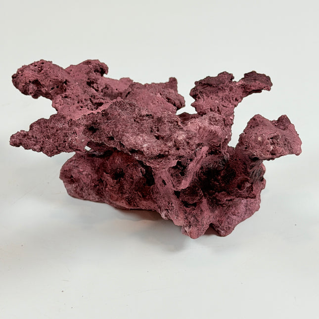 WYSIWYG Coraline Reef Rock #28