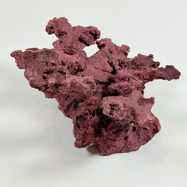 WYSIWYG Coraline Reef Rock #28
