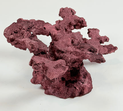 WYSIWYG Coraline Reef Rock #28