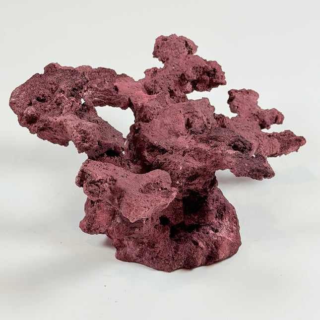 WYSIWYG Coraline Reef Rock #28