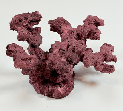 WYSIWYG Coraline Reef Rock #28
