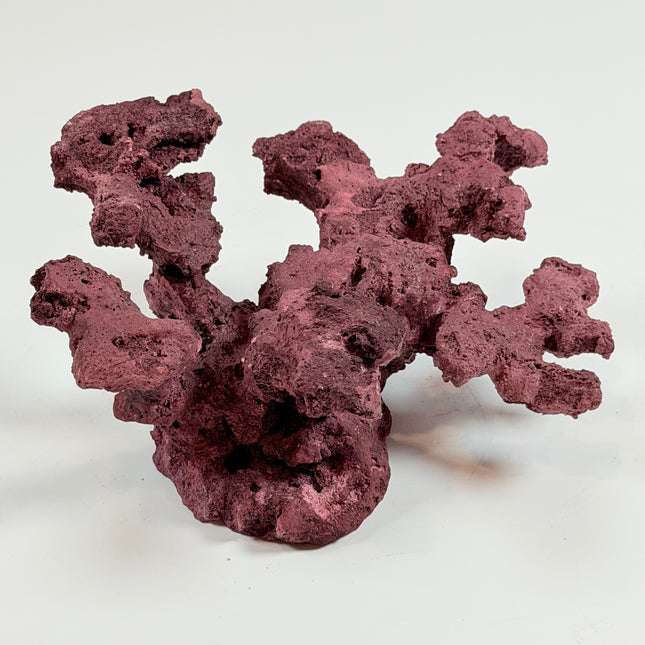WYSIWYG Coraline Reef Rock #28