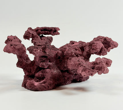 WYSIWYG Coraline Reef Rock #28