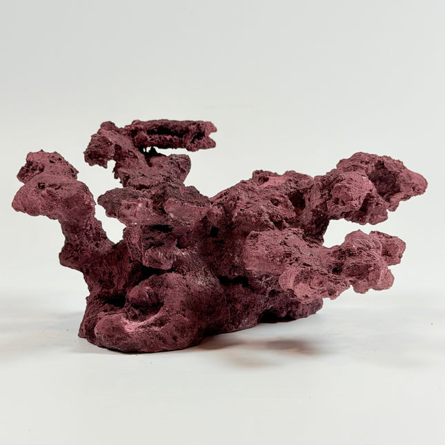 WYSIWYG Coraline Reef Rock #28