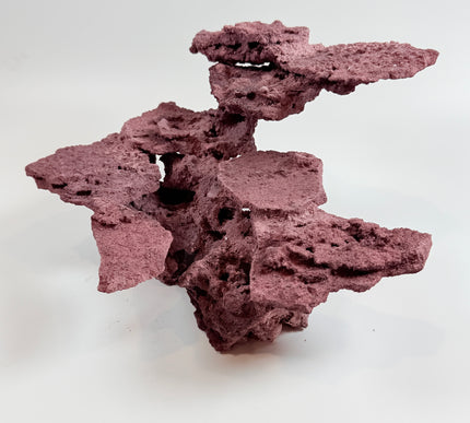 WYSIWYG Coraline Reef Rock #29