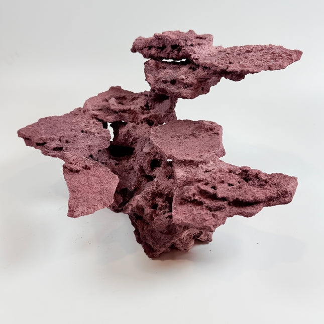 WYSIWYG Coraline Reef Rock #29