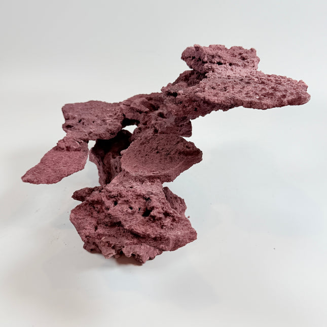 WYSIWYG Coraline Reef Rock #29