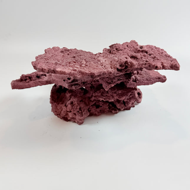 WYSIWYG Coraline Reef Rock #29