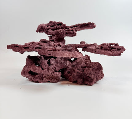 WYSIWYG Coraline Reef Rock #29