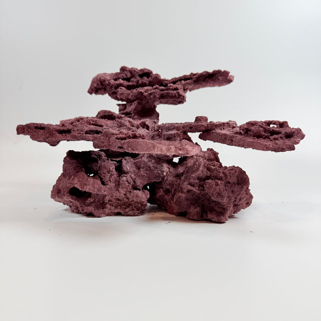 WYSIWYG Coraline Reef Rock #29