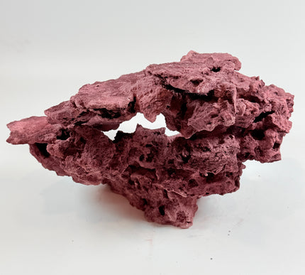 WYSIWYG Coraline Reef Rock #30