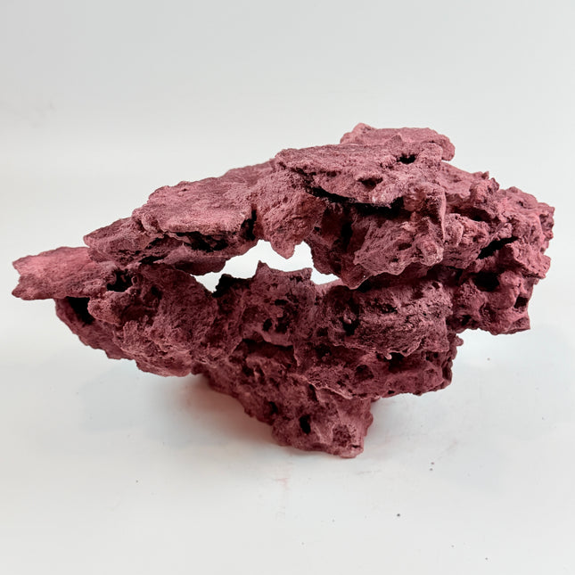 WYSIWYG Coraline Reef Rock #30