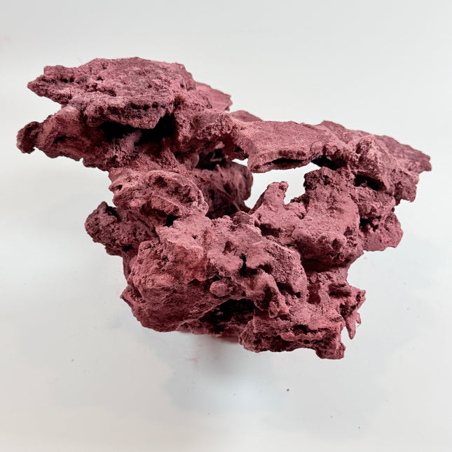 WYSIWYG Coraline Reef Rock #30