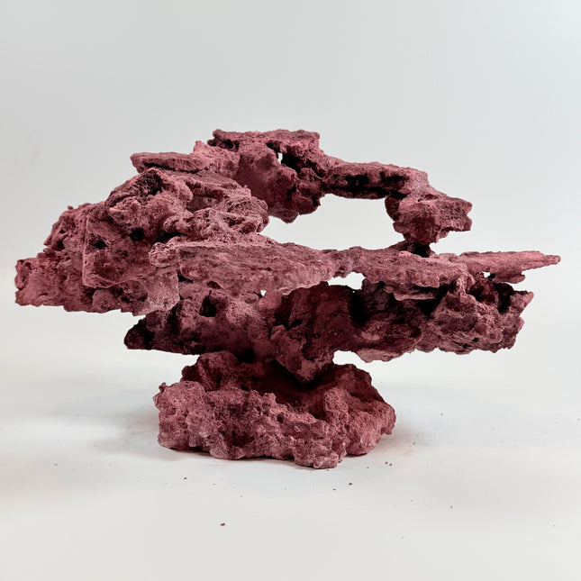 WYSIWYG Coraline Reef Rock #30