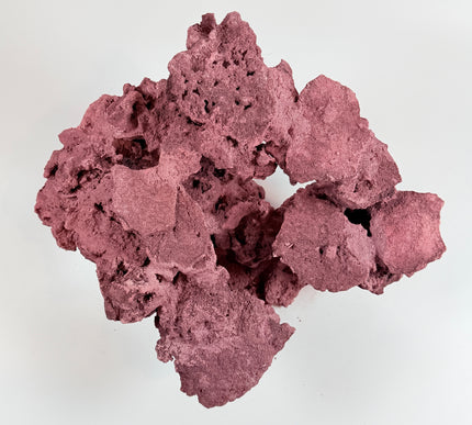 WYSIWYG Coraline Reef Rock #30