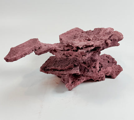 WYSIWYG Coraline Reef Rock #31