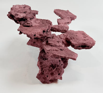 WYSIWYG Coraline Reef Rock #31