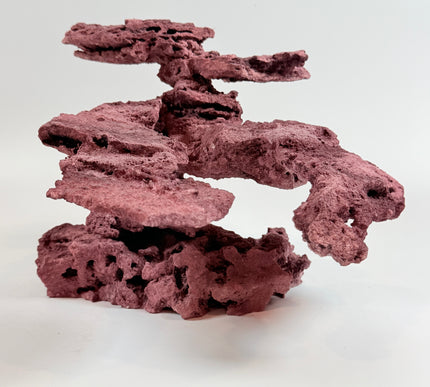 WYSIWYG Coraline Reef Rock #32